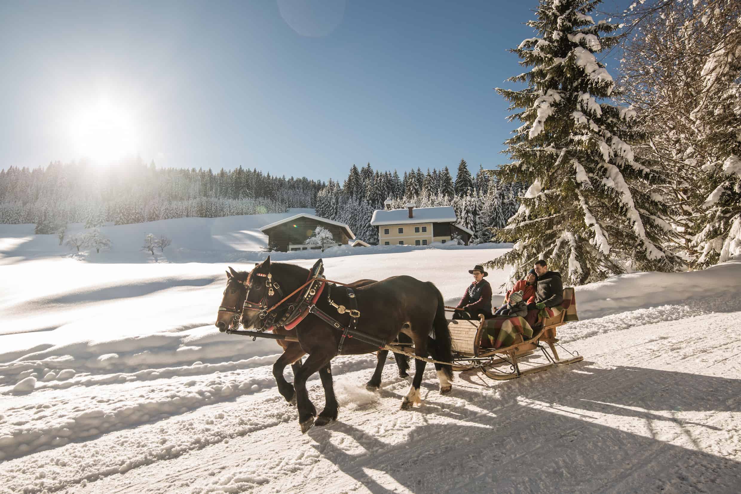 Familie-beim-Pferdeschlittenfahren_SalzburgerLand-Tourismus_Michael-Groessinger