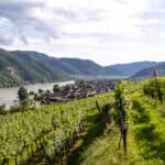 Weinberge in der Wachau