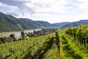 Weinberge in der Wachau