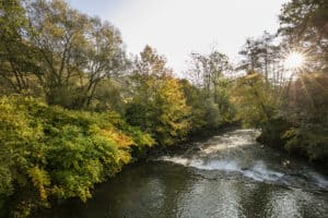 Helenental in Niederösterreich