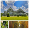 Naturerlebnisse in Wien – 1 Tag